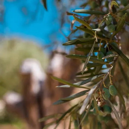 Azalo Casa di campagna Noto